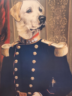 Klassieke-poster-jachthond-hond-in-klederdracht-golden-retriever-2