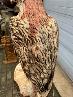 Houtsnijwerk-houtsculptuur-van-een-buizerd-arend-zeearend-9
