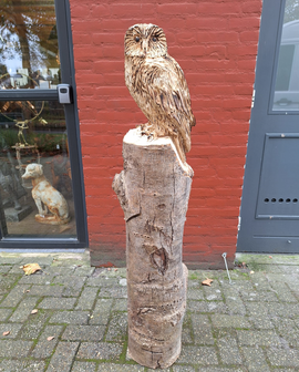 Groot-houtsnijwerk-houtsculptuur-van-een-uil-tuinbeeld-kunstwerk