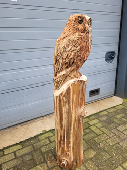 Houtsnijwerk-houtsculptuur-standbeeld-tuinbeeld-van-een-uil-1