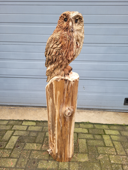 Houtsnijwerk-houtsculptuur-standbeeld-tuinbeeld-van-een-uil