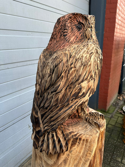 Groot-houtsnijwerk-houtsculptuur-standbeeld-tuinbeeld-van-een-uil-uilen-8