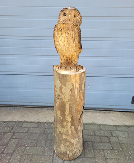 Groot-houtsnijwerk-tuinbeeld-hout-sculptuur-van-een-uil