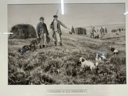 Chasse-a-la-Perdix