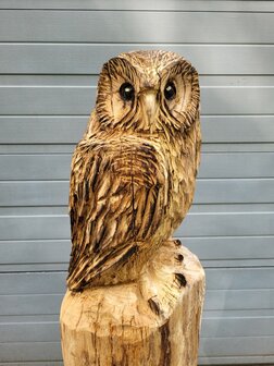 Houtsnijwerken-van-uilen-uil-houtsculptuur-tuinbeeld-kunstwerk-kerkuil-kerk-uil-3