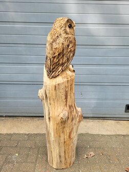 Houtsnijwerken-van-uilen-uil-houtsculptuur-tuinbeeld-kunstwerk-kerkuil-kerk-uil-5