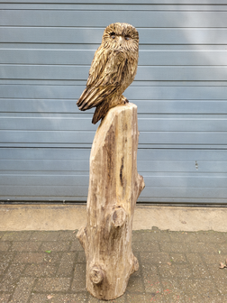 Houtsnijwerken-van-uilen-uil-houtsculptuur-tuinbeeld-kunstwerk-uil