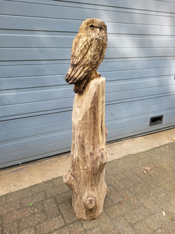 Houtsnijwerken-van-uilen-uil-houtsculptuur-tuinbeeld-kunstwerk-uil-2