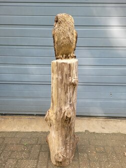 Houtsnijwerken-van-uilen-uil-houtsculptuur-tuinbeeld-kunstwerk-uil-3