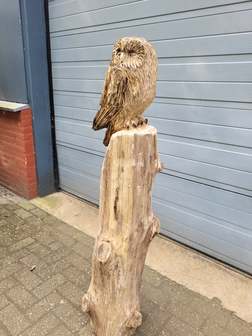 Houtsnijwerken-van-uilen-uil-houtsculptuur-tuinbeeld-kunstwerk-uil-5