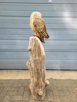 Houtsnijwerken-van-uilen-uil-houtsculptuur-tuinbeeld-kunstwerk-uil-6