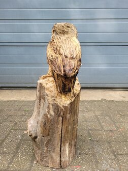 Klein-Houtsnijwerken-van-uilen-uil-houtsculptuur-tuinbeeld-kunstwerk-uil-3