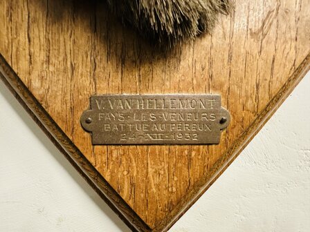 Taxidermie-Antiek-Hert-14
