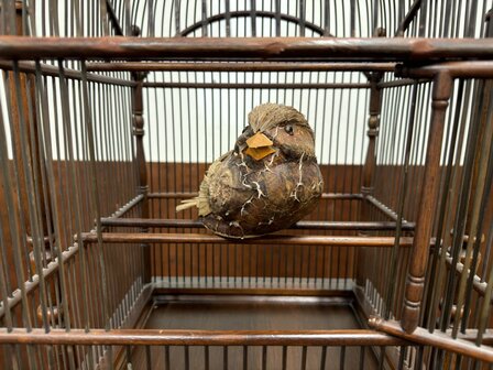 Klassiek-Engels-Oud-Antiek-Vogelkooi-op-standaard-Vogel-Voliere