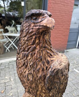 Groot-adelaar-zeearend-outsnijwerk-tuinbeeld-hout-3