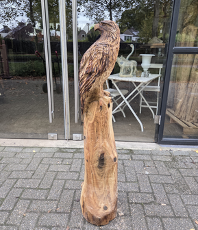 Adelaar-zeearend-outsnijwerk-tuinbeeld-hout