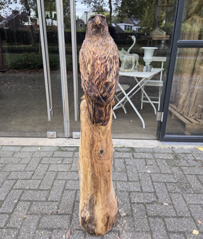 Adelaar-zeearend-outsnijwerk-tuinbeeld-hout-1