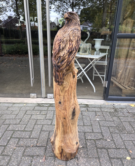 Adelaar-zeearend-outsnijwerk-tuinbeeld-hout-2