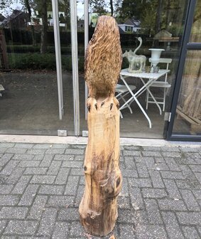 Adelaar-zeearend-outsnijwerk-tuinbeeld-hout-3