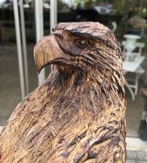 Adelaar-zeearend-outsnijwerk-tuinbeeld-hout-6