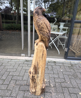 Adelaar-zeearend-outsnijwerk-tuinbeeld-hout-5