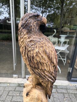 Adelaar-zeearend-outsnijwerk-tuinbeeld-hout-7