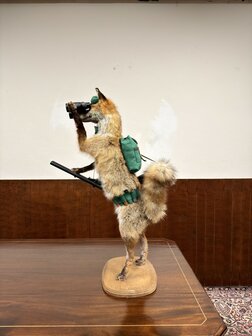 Taxidermie-Opgezet-Vos-verkleed-als-Jager