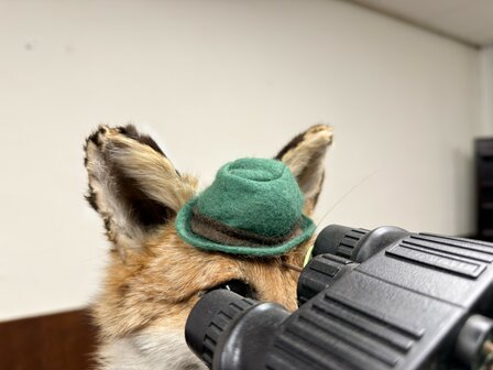 Taxidermie-Opgezet-Vos-verkleed-als-Jager