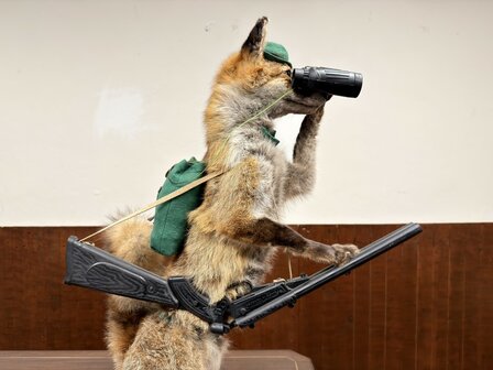 Taxidermie-Opgezet-Vos-verkleed-als-Jager