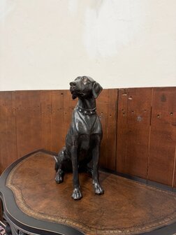 Klassiek-Engels-Antiek-Oud-Chesterfield-Beeld-Labrador-Hond-1