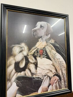 Klassiek-Engels-Antiek-Oud-Chesterfield-Prent-Hond-Labrador-1