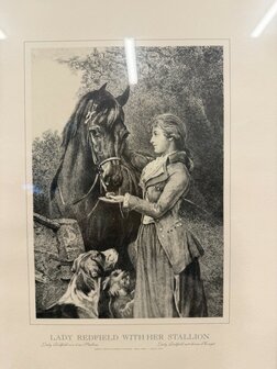 Klassiek-Engels-Antiek-Oud-Chesterfield-Prent-Lady-Redfield-With-Her-Stallion-2