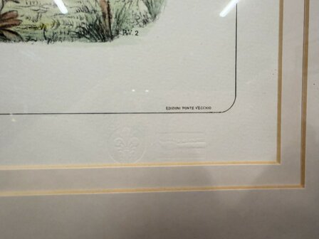 Klassiek-Antiek-Oud-Engels-Prent-The-Famous-Horse-Volunteer-While-Is-Running-Record-3