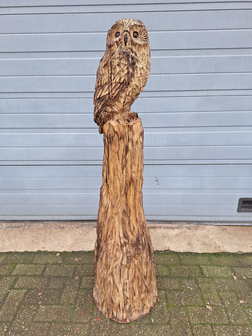 Groot-houtsnijwerk-houtsculptuur-tuinbeeld-kunstwerk-van-een-uil