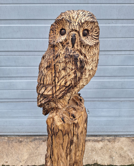 Groot-houtsnijwerk-houtsculptuur-tuinbeeld-kunstwerk-van-een-uil-3