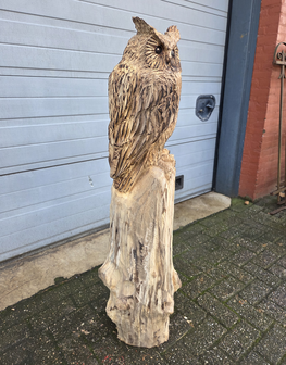 Houtsnijwerk-houtsculptuur-tuinbeeld-kunstwerk-van-een-uil-met-oren-2