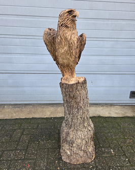 Houtsnijwerk-houtsculptuur-tuinbeeld-kunstwerk-van-een-zeearend-adelaar-roofvogel