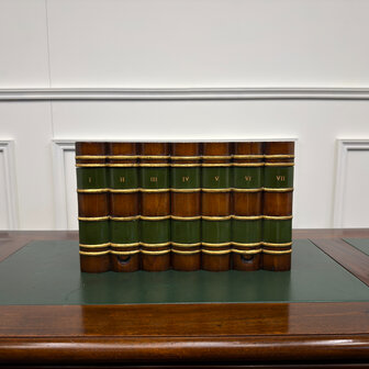 Klassiek-Antiek-Engels-Oud-Vintage-Chesterfield-Globe-Wernicke-Boekendoos-Faux-Books
