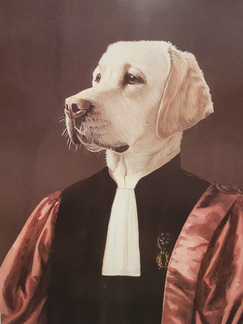 Klassieke-poster-jachthond-hond-in-klederdracht-goldenretriever-1
