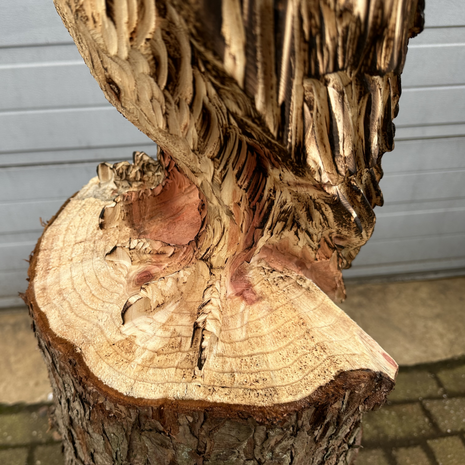 Houtsnijwerk-houtsculptuur-van-een-buizerd-arend-zeearend-10