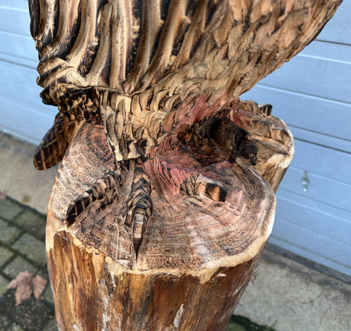 Groot-houtsnijwerk-houtsculptuur-standbeeld-tuinbeeld-van-een-uil-uilen-7