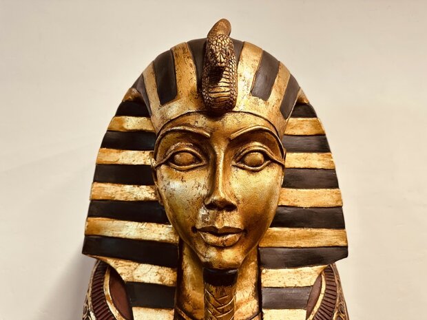 Egyptische-Farao-Sarcofaag-Kast-Boekenkast