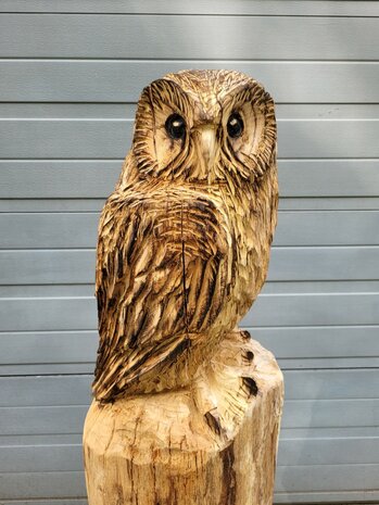 Houtsnijwerken-van-uilen-uil-houtsculptuur-tuinbeeld-kunstwerk-kerkuil-kerk-uil-3