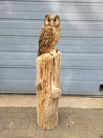 Houtsnijwerken-van-uilen-uil-houtsculptuur-tuinbeeld-kunstwerk-kerkuil-kerk-uil