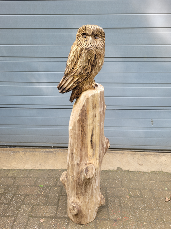 Houtsnijwerken-van-uilen-uil-houtsculptuur-tuinbeeld-kunstwerk-uil-1
