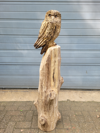 Houtsnijwerken-van-uilen-uil-houtsculptuur-tuinbeeld-kunstwerk-uil