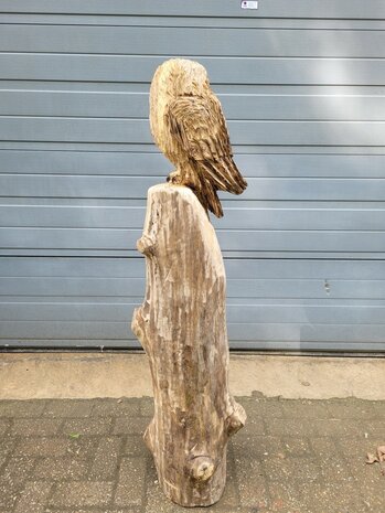 Houtsnijwerken-van-uilen-uil-houtsculptuur-tuinbeeld-kunstwerk-uil-6