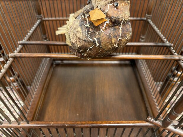 Klassiek-Engels-Oud-Antiek-Vogelkooi-op-standaard-Vogel-Voliere