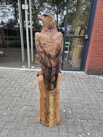 Groot-adelaar-zeearend-outsnijwerk-tuinbeeld-hout-6