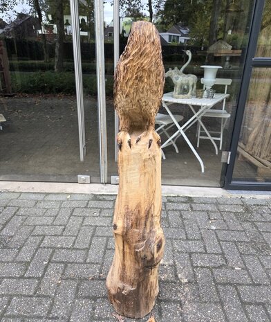 Adelaar-zeearend-outsnijwerk-tuinbeeld-hout-3